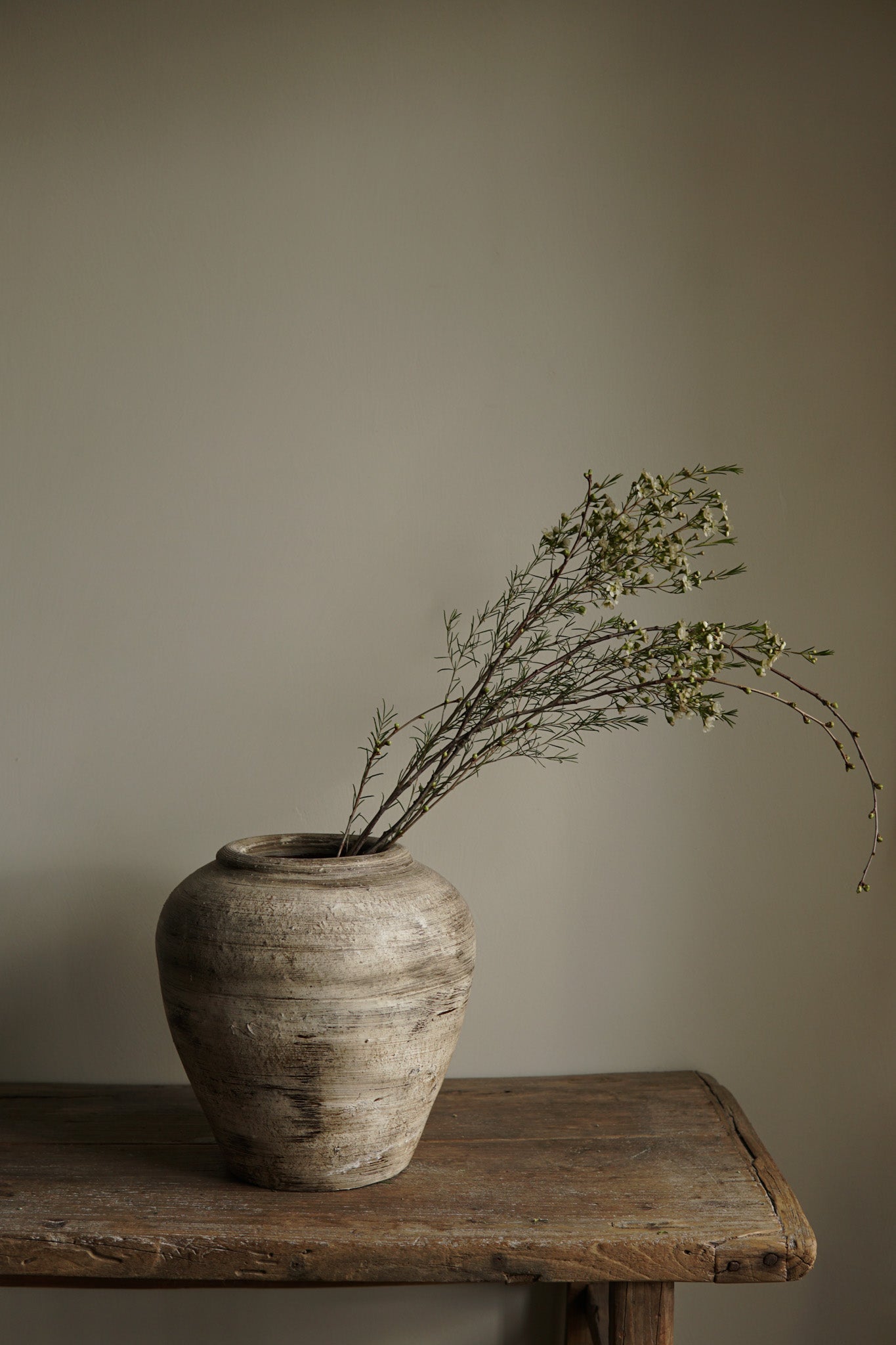 Sisi, Terracota vase miss Rozi